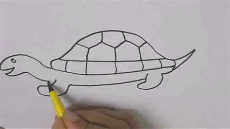 Drawing tutorial,art tutorial thexvid video. How to draw a Turtle 2 :Drawing tutorial step by step for ...