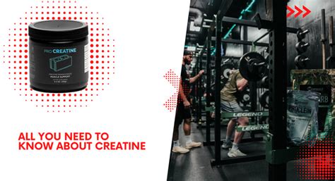 All You Need To Know About Creatine Tenperformance