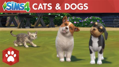 「the Sims 4 Cats And Dogs」：公式ローンチトレーラー Youtube