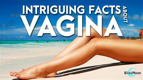 Interesting Facts About Vagina You Must Know YouTube