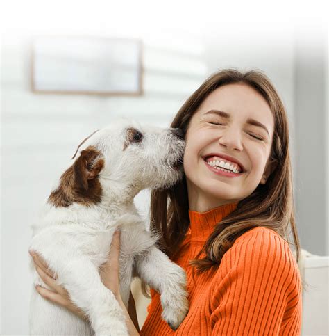 Vip petcare | preventive pet care and veterinary services. Home | VIP Petcare