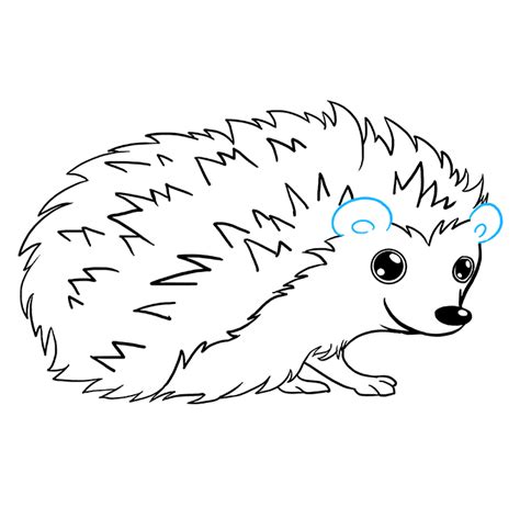 How To Draw A Hedgehog Really Easy Drawing Tutorial
