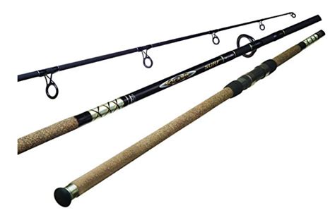 Best Surf Fishing Rods For 2019