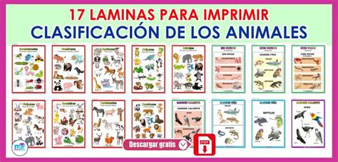 Clasificación De Los Animales Laminas Para Imprimir Materiales Educativos