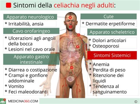 Riconoscere I Sintomi Della Celiachia Negli Adulti Una Guida Completa