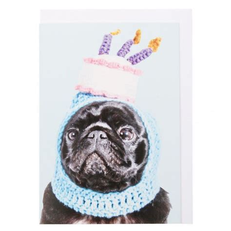 Pug In Cake Hat Card Paperchase Birthday Hat Happy Birthday Ts
