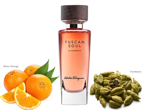 Summer Fragrances In Italy: Dolce & Gabbana, Salvatore Ferragamo, Prada ...