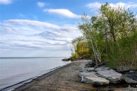 Free Images : beach, landscape, sea, coast, tree, rock, ocean, marsh