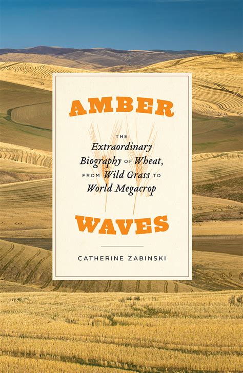 Amber Waves The Extraordinary Biography Of Wheat From Wild Grass To