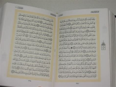 Der Koran Eine Kurze Einführung Scilogs Wissenschaftsblogs