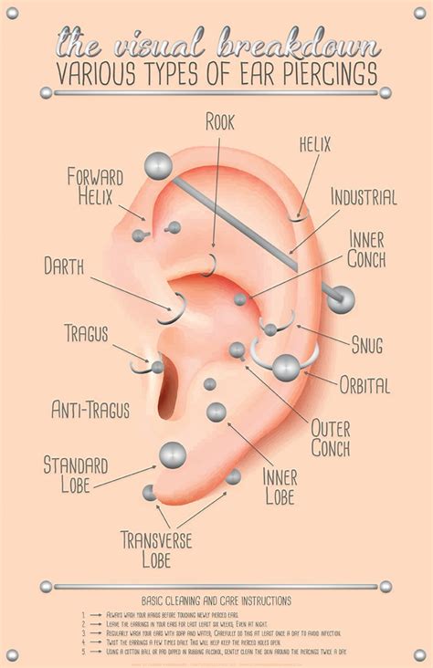 Ear Piercing Infographic Chart Poster Etsy