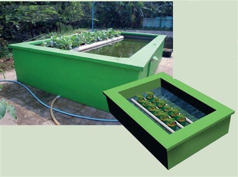Sistem Model Aquaponik Untuk Lahan Sempit Petani TOP
