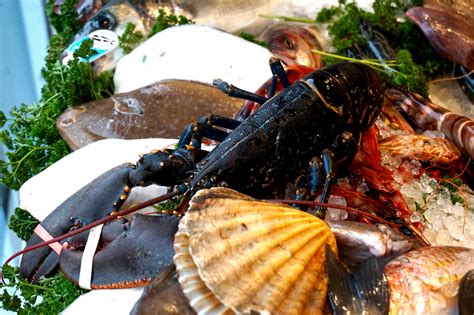 New smyrna beach has many great culinary delights, from seafood to cup cakes. Top 10 Restaurants In New Smyrna Beach, Florida