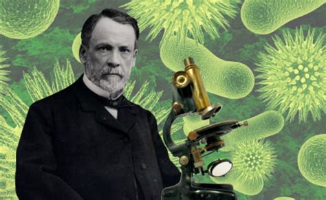 La Importancia De Louis Pasteur Para La Ciencia