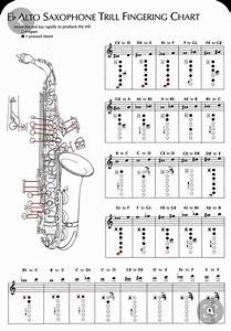 Pin By Maxine Peterson On Music Saxophone Saxophone Music Alto