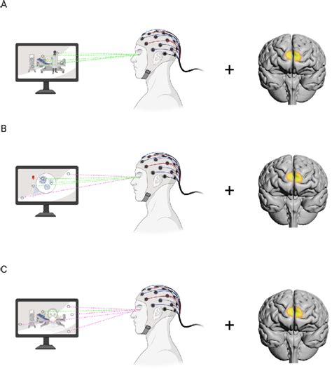 Brain Imaging And Eye Tracking Protocol For Study 2 Green Dotted Lines