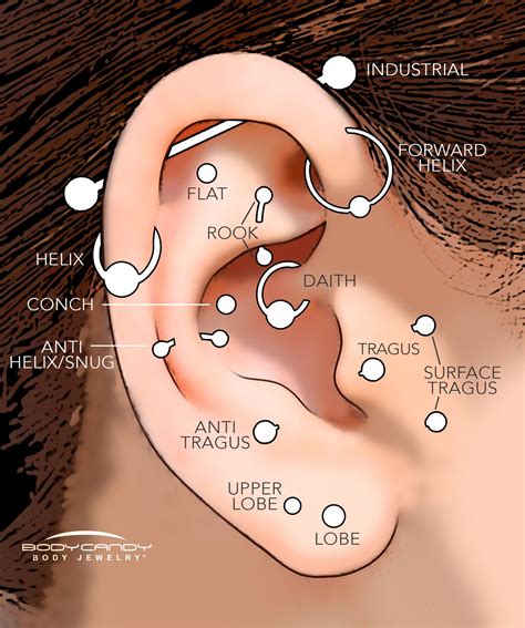 Different Types Of Ear Piercings Chart