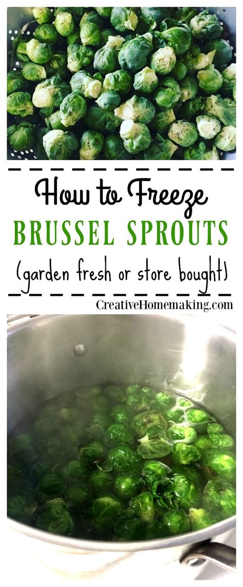 How To Freeze Brussel Sprouts Freezing Brussel Sprouts Brussel