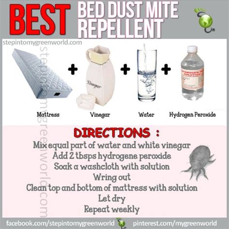 The smart solutions for bed bugs. Bed dust mite repellant | Bed bug remedies, Dust mites ...
