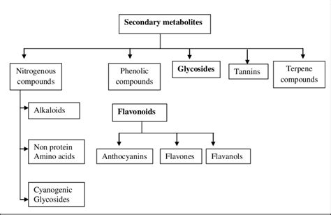 Broad Classification Of Plant Secondary Metabolites Download