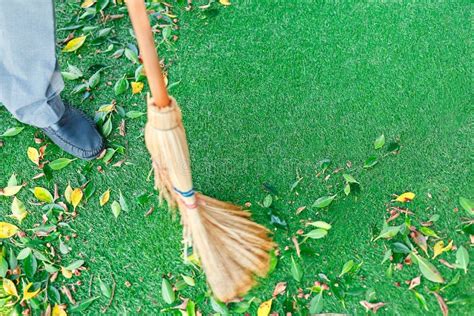 Working With Broom Sweeps Lawn From Fallen Leaves Stock Image Image