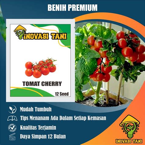 Jual Benih Bibit Biji Sayuran Tomat Cerry Super Tanaman Unggul Benih