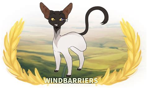 Wb Twigstep Medicine Cat Of Windclan By Wbmods On Deviantart