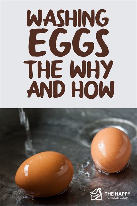 Washing Eggs The Why And How The Happy Chicken Coop