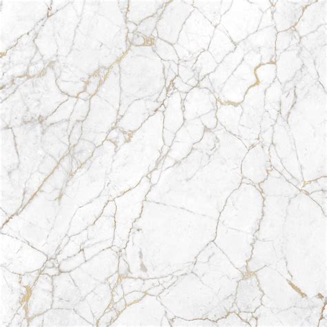 Black White And Gold Marble Wallpapers Top Free Black White And Gold