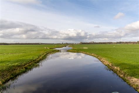 Free Images Water Grass Horizon Meadow River Reflection Pasture