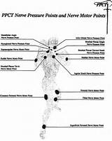 Pressure Points For Self Defense Photos