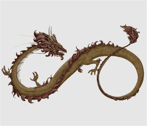 Creature Dragon Man Jiaolong The Dragonчик Dragon Tales
