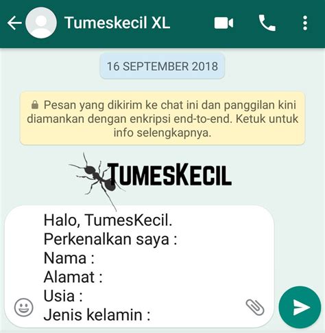 Cara memindahkan akun whatsapp dan isinya tanpa verifikasi nomor telpon. Cara Membuat Link Whatsapp Menuju Chat Langsung Tanpa ...