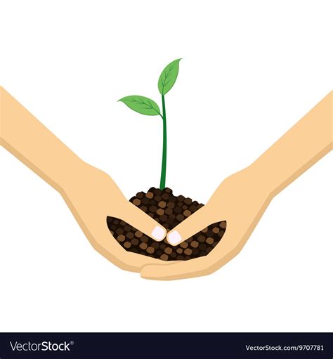 Two Hands Holding Young Plant Royalty Free Vector Image