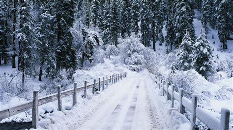 Nature Landscape Winter Snow Bridge Wallpapers Hd