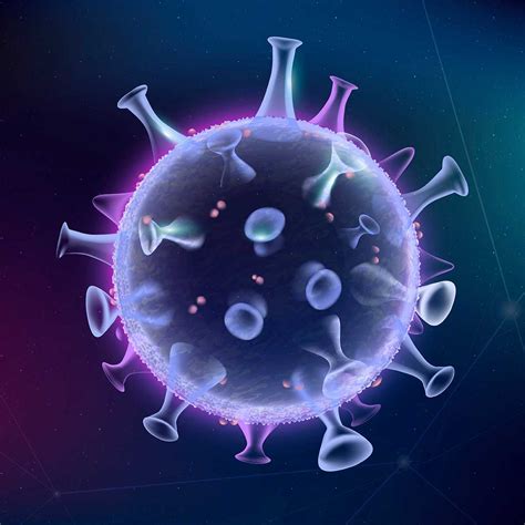 Cytomegalovirus Symptoms And Treatment Metromale Clinic And Fertility