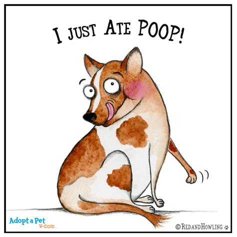 New Cartoon Poop Blog