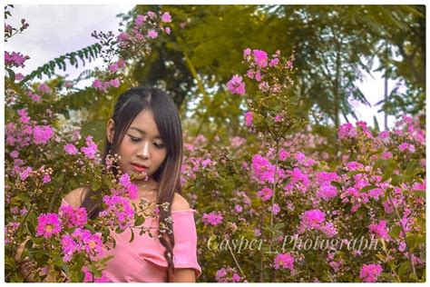 Bunga sakura di sumba ©qubicle.id. Tempat Wisata Yang Hits Dan Indah Untuk Berselfie Ria Di ...