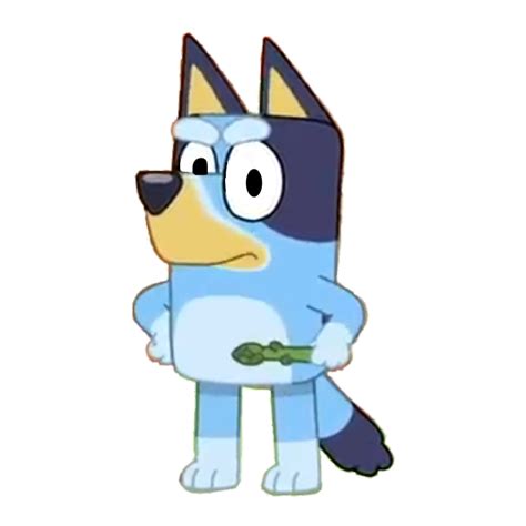 Pov You Called Bluey A Boy Rbluey