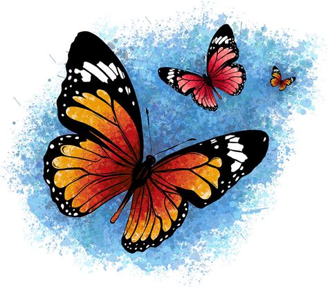 Illustration Of A Beautiful Colorful Butterfly That Flies Digital Art