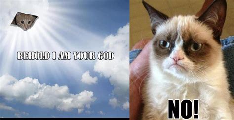 A historical and literary introduction. 18 Extremely Funny Grumpy Cat No Memes | SayingImages.com