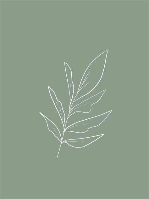 Minimalist Wallpaper Aesthetic Sage Green Iphone Wallpaper Memoiro
