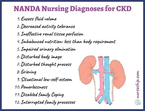 20 Nanda Nursing Diagnosis For Chronic Kidney Disease Ckd
