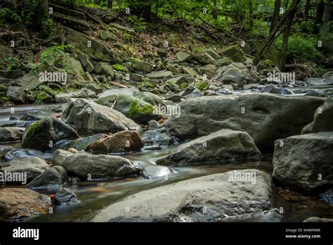 Rivers Flowing Through The Forest Stock Photo Alamy