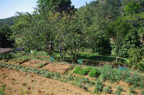 La biodynamie c est quoi Exemple à la Ferme d Arcadie