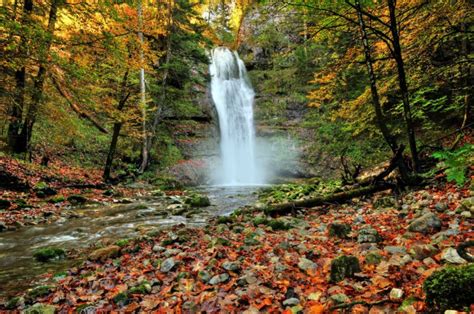 Forest Autumn Trees River Waterfall Nature Wallpapers Hd Desktop