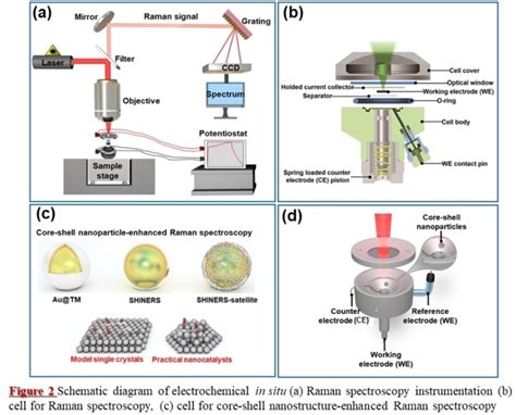 Schematic Diagram Of A In Situ Raman Spectroscopy Instrumentation And