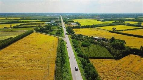 Bình thuận may refer to several places in vietnam, including: Có nên mua đất nông nghiệp ở Bình Thuận không?