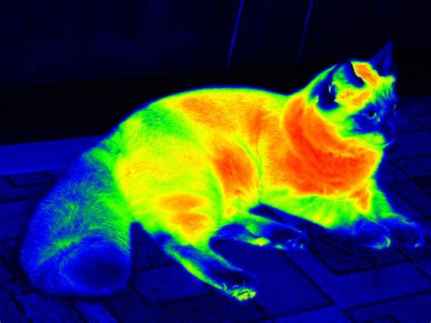 Under The Right Conditions Humans Can See Infrared