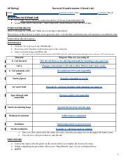 Pogil activities for ap biology answer key photosynthesis. Pogil activities for ap biology answer key photosynthesis ...